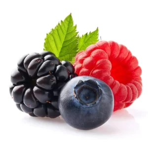 Diğer Meyve Fidanları